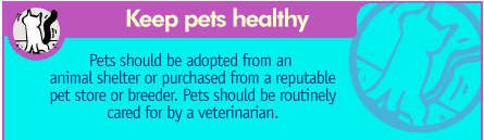 Keep pets healthy